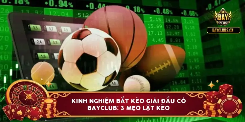 kinh nghiem bat keo giai dau co bayclub 6a0be0aa84e95